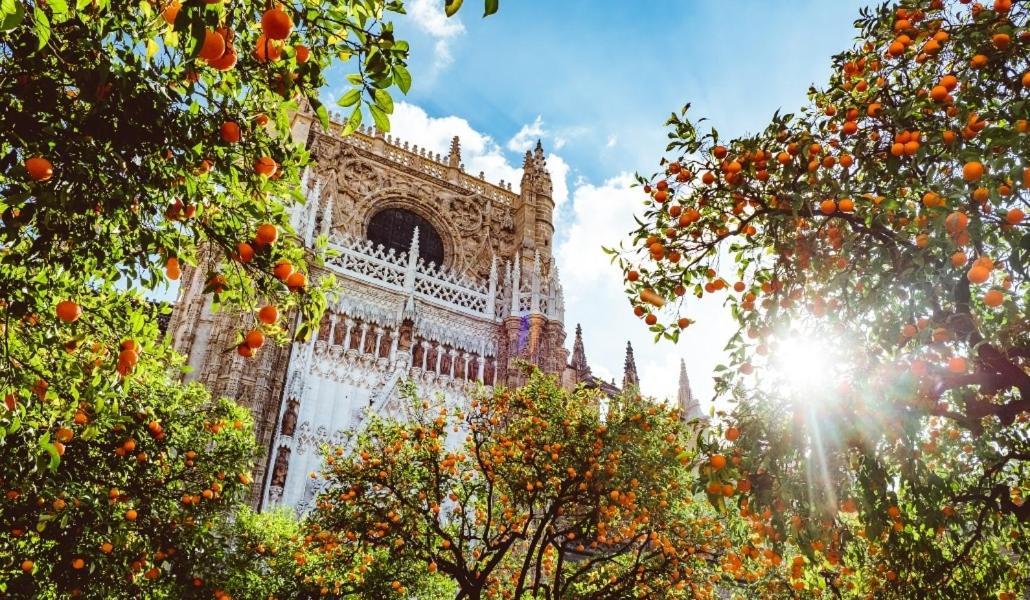 Epicenter II Nuevo Y Lujoso Apto Parking Gratis Perfecta Ubicacion Sevilla Dış mekan fotoğraf